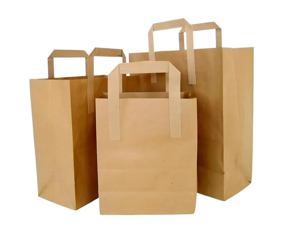 Frenterprises 50 bolsas de papel marrón con asas, bolsas de transporte, grandes bolsas de papel de 25,4 x 30,5 x 13,5 cm, bolsas de sándwich, bolsas de papel de regalo, bolsas de papel recicladas