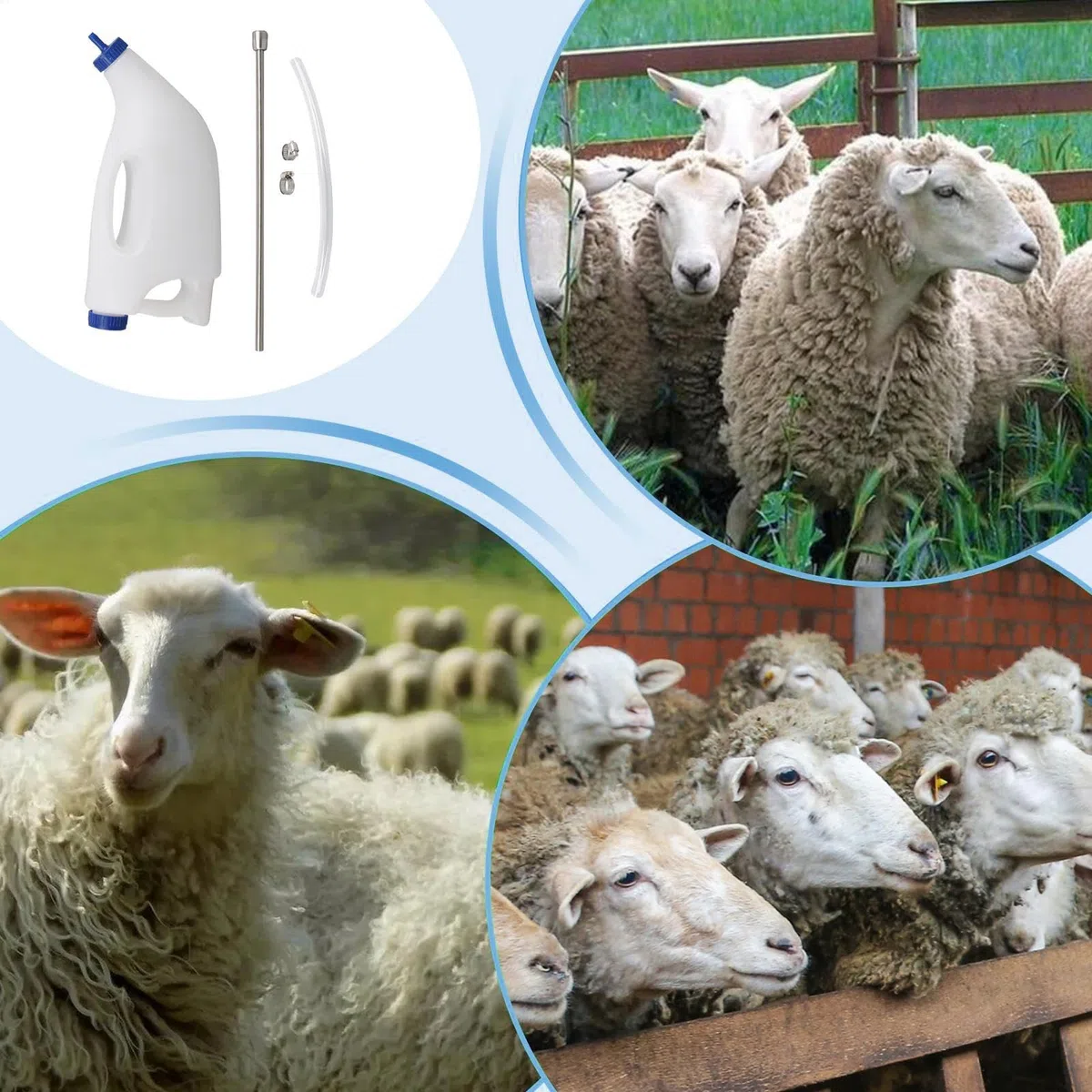 Alimentador de leche de ternero, alimentador de terneros | Herramienta de alimentación de cordero de oveja de ancianos - 4L BoCh BoCh Ternal Arader con tubo, sonda de alimentador de fluido esofágico p