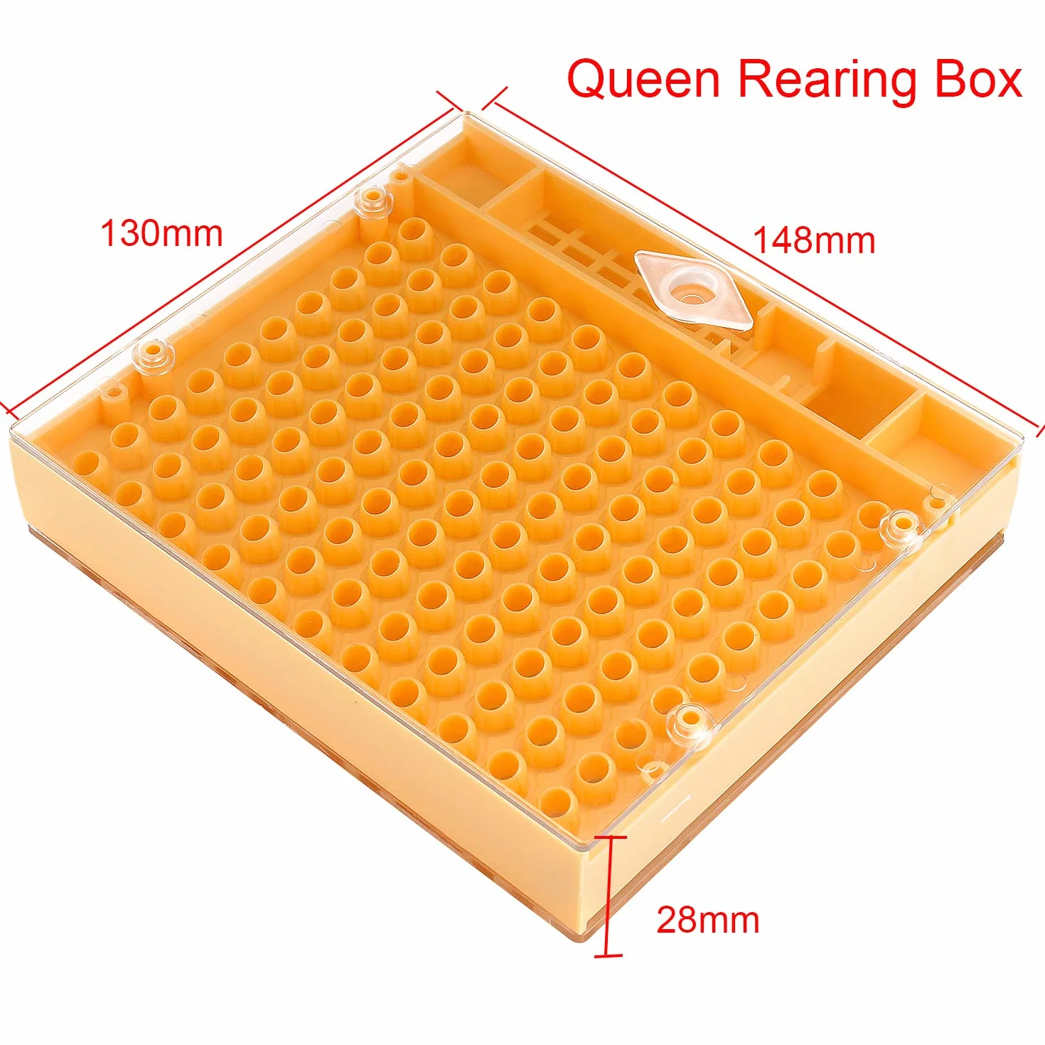 ZffXH Kit Completo De Crianza De Abeja Apicultura Con Sistema De Nicot Para Apicultura Nicot Queen Rearing Tools