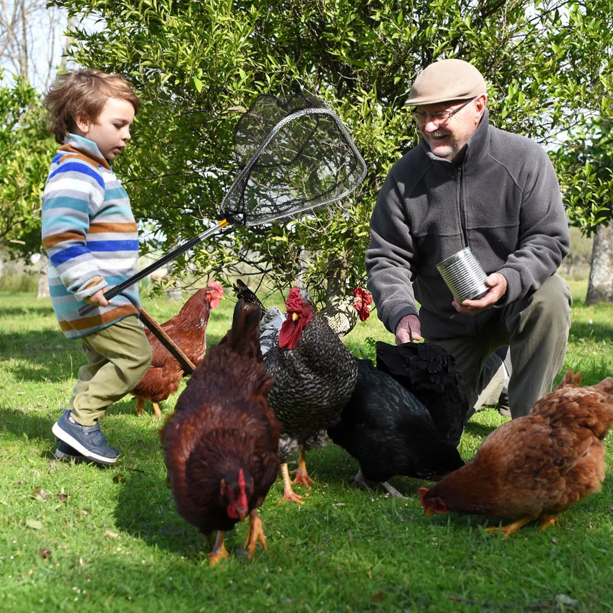 Redes de pollo para aves de corral escalables