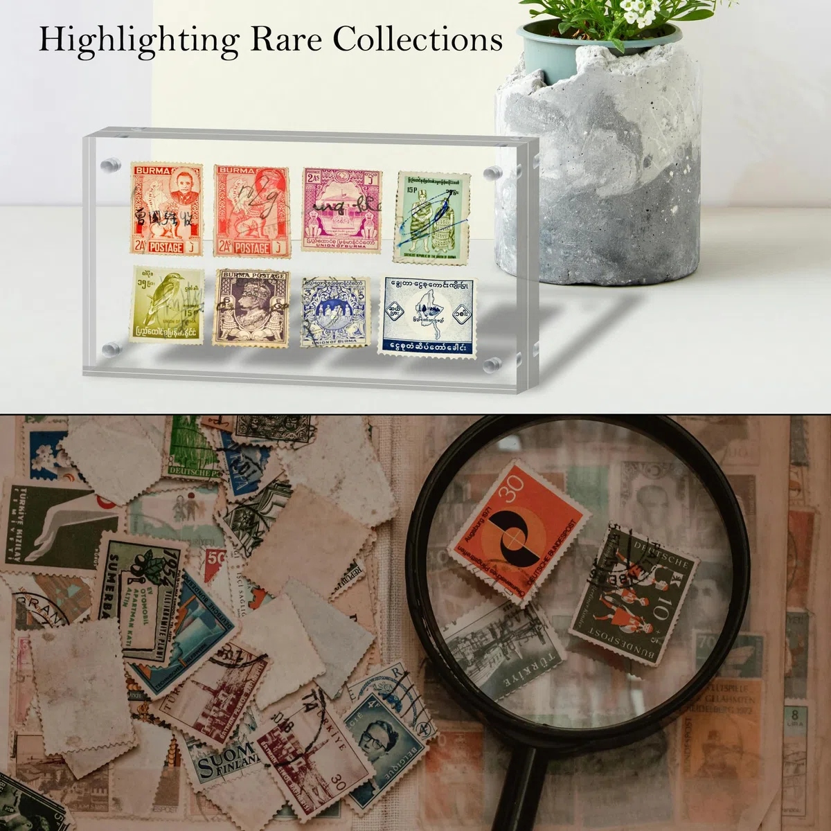 Marco de billetes de dólar acrílico para billetes de dólar de 3.9 x 7.8 pulgadas, marco grueso para exhibición de billetes de dólar, marco magnético para exhibición de billetes de dinero, fotos,