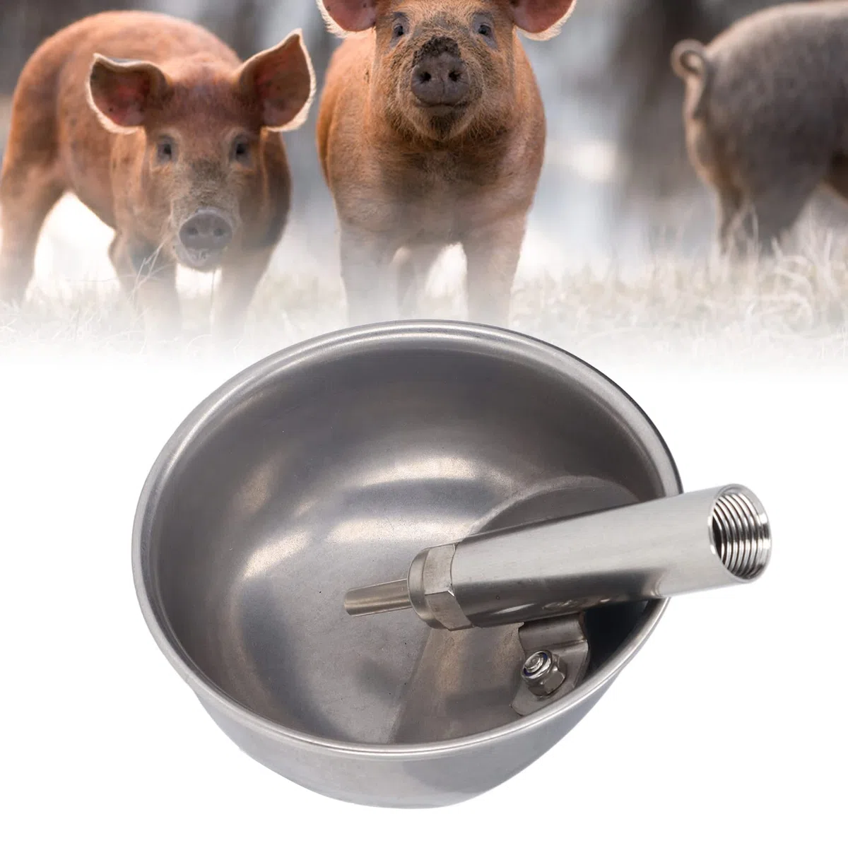 Tazón de Agua para Cerdos Suministros Tazón Automático para Cerdas Bebedero Engrosado Bebedero Fuente para Beber Acero Inoxidable Equipo de 13 Cm Tazón para Ofrenda de Agua