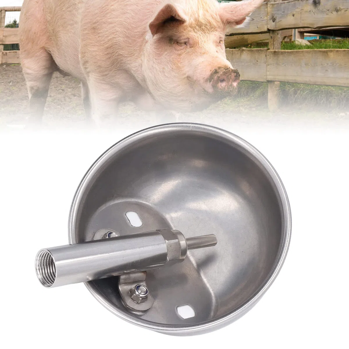 Tazón de Agua para Cerdos Suministros Tazón Automático para Cerdas Bebedero Engrosado Bebedero Fuente para Beber Acero Inoxidable Equipo de 13 Cm Tazón para Ofrenda de Agua