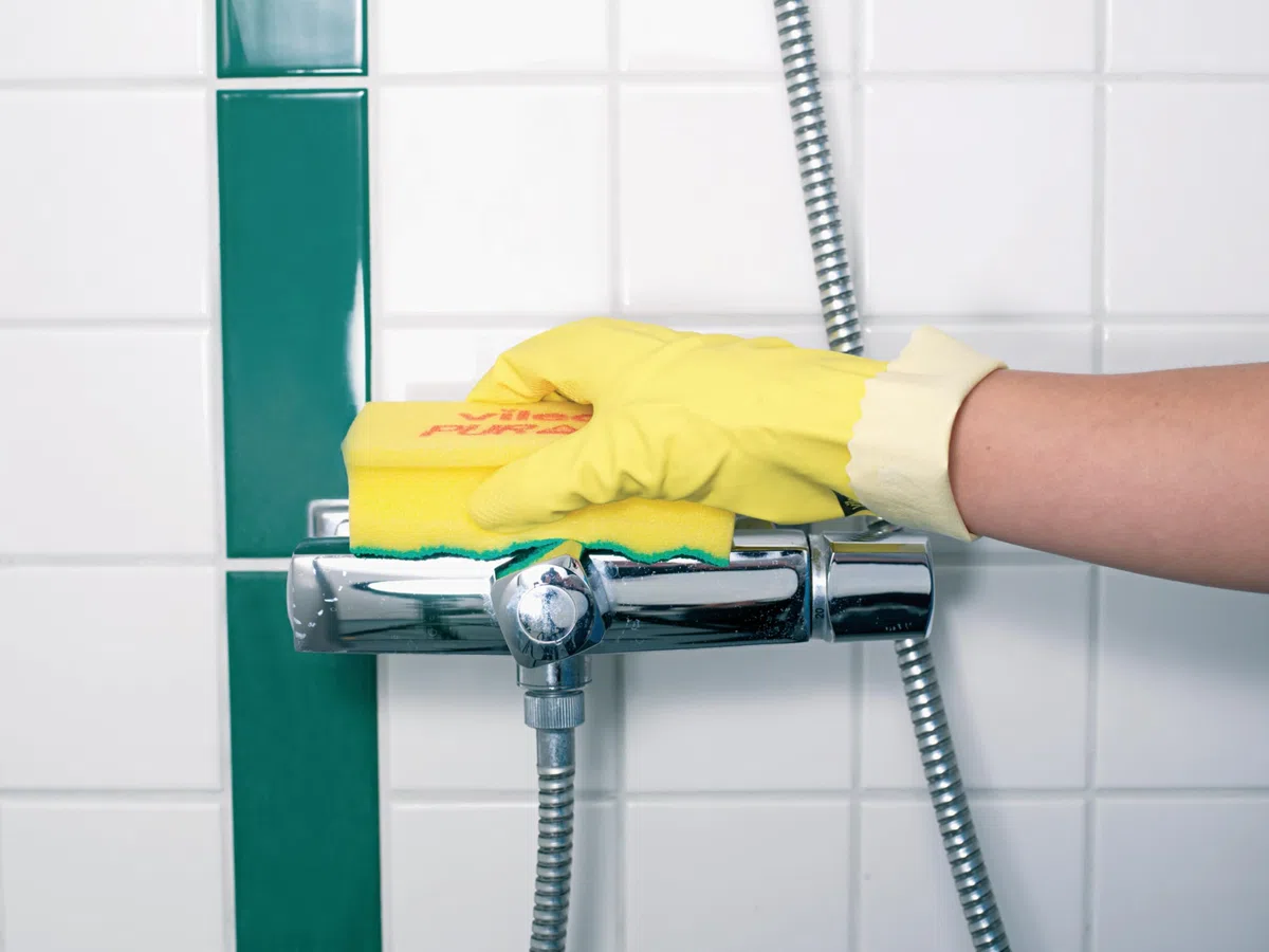 Vileda Professional PurActive Salvauñas – Estropajo verde sin arañazos, pack de 10 unidades, Superficies delicadas, inox, Vidrio, Cerámica, Teflón, Tecnología de limpieza activa, Codificación HACCP