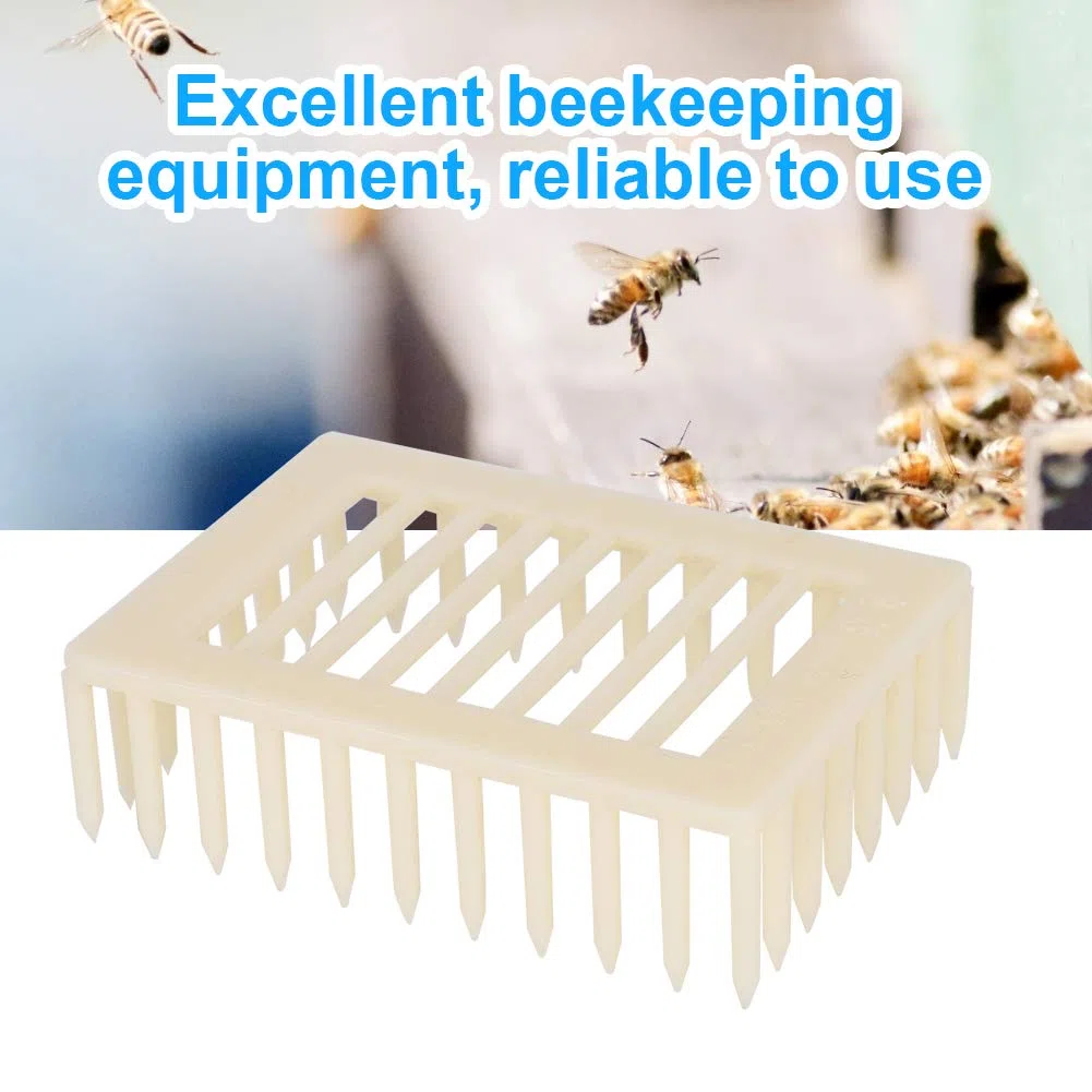 Aramox Jaula de Reina, 20 Piezas de Plástico con Forma Cuadrada, Caja de Cría de Reina, Jaula para Abejas, Herramienta para Apicultor, Equipo de Apicultura