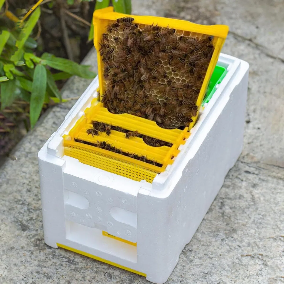Bee Hives - Casa de abeja de espuma aislante | Suministros para mascotas para apareamiento de granja, polinización de invierno, miel, mantener el hogar, patio trasero