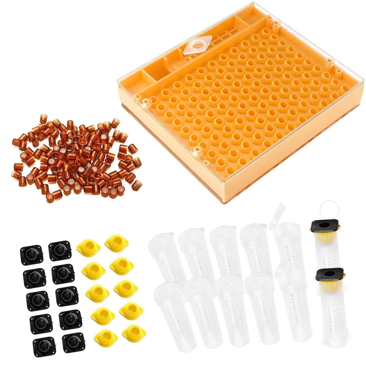 ZffXH Kit Completo De Crianza De Abeja Apicultura Con Sistema De Nicot Para Apicultura Nicot Queen Rearing Tools