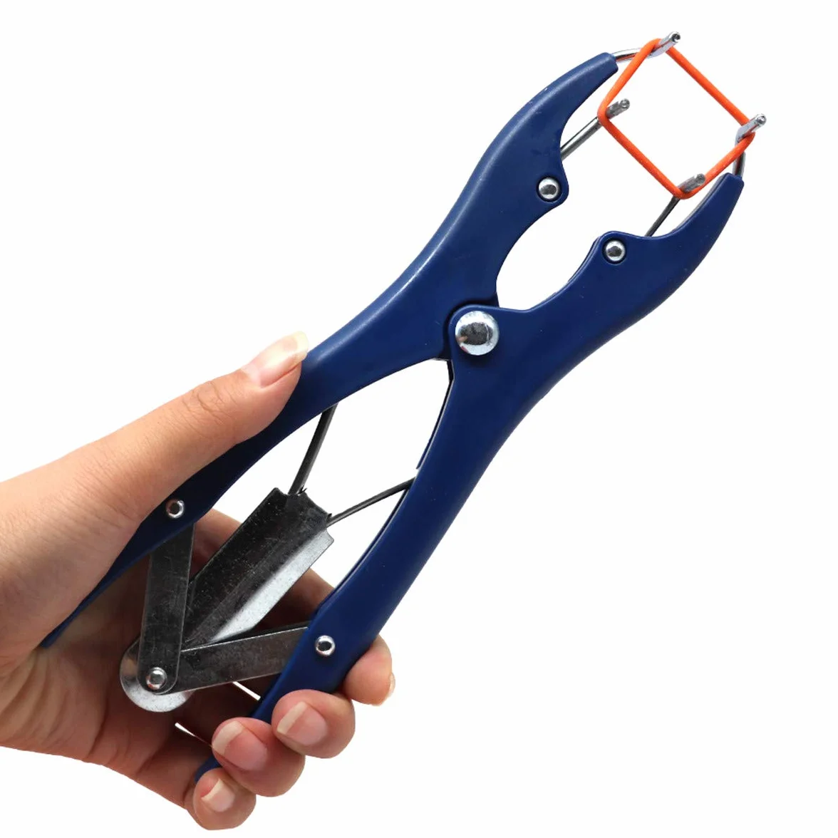 Alicat de cerdo, pinza de elastración, cinta de castración (1 alicate para castración con 100 anillos de goma), juego de alicates metálicos