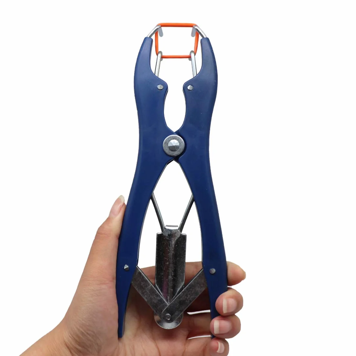Alicat de cerdo, pinza de elastración, cinta de castración (1 alicate para castración con 100 anillos de goma), juego de alicates metálicos