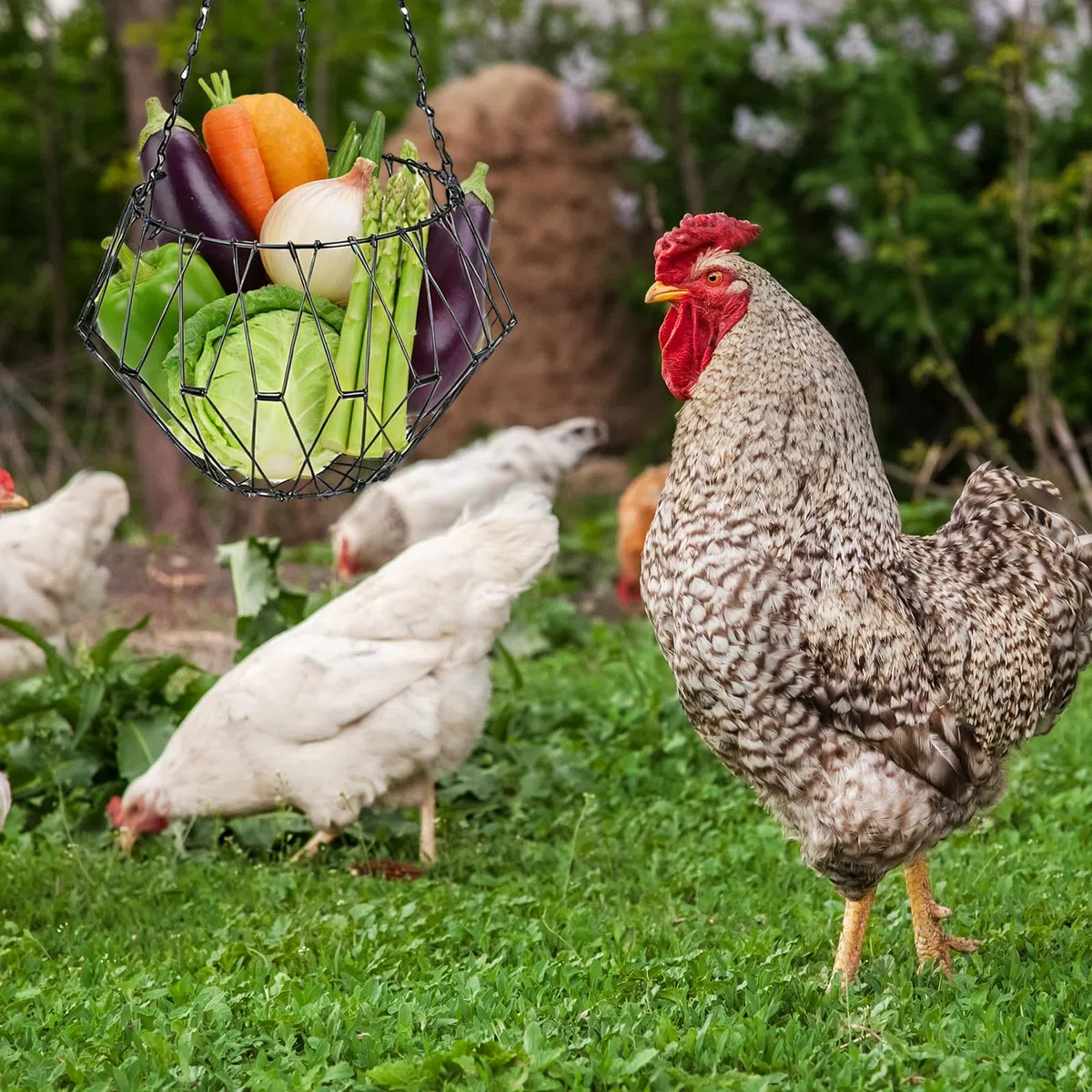2 Piezas Comedero Colgante de Verduras para Pollos, Soporte Plegable para Frutas y Verduras, Comedero de Pollo, Cesta de Alimentación para Colgar para Pollos, Patos y Gansos
