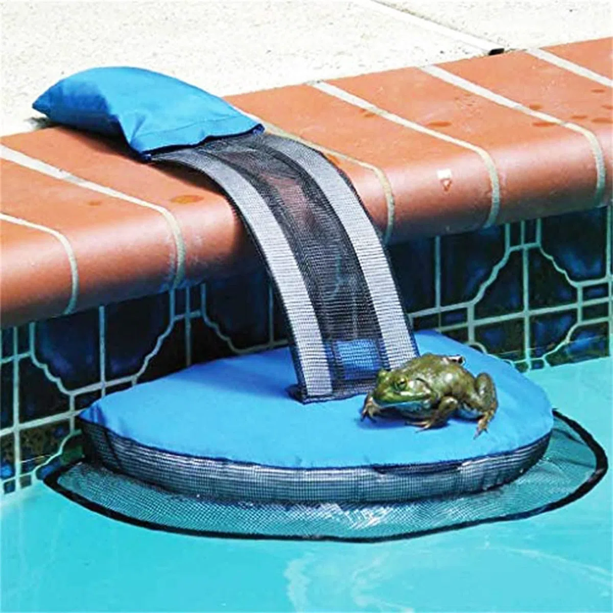 Salva Animales Piscina, rampa De Escape para Alberca, para Mascotas Pequeñas, Red De Seguridad Portátil