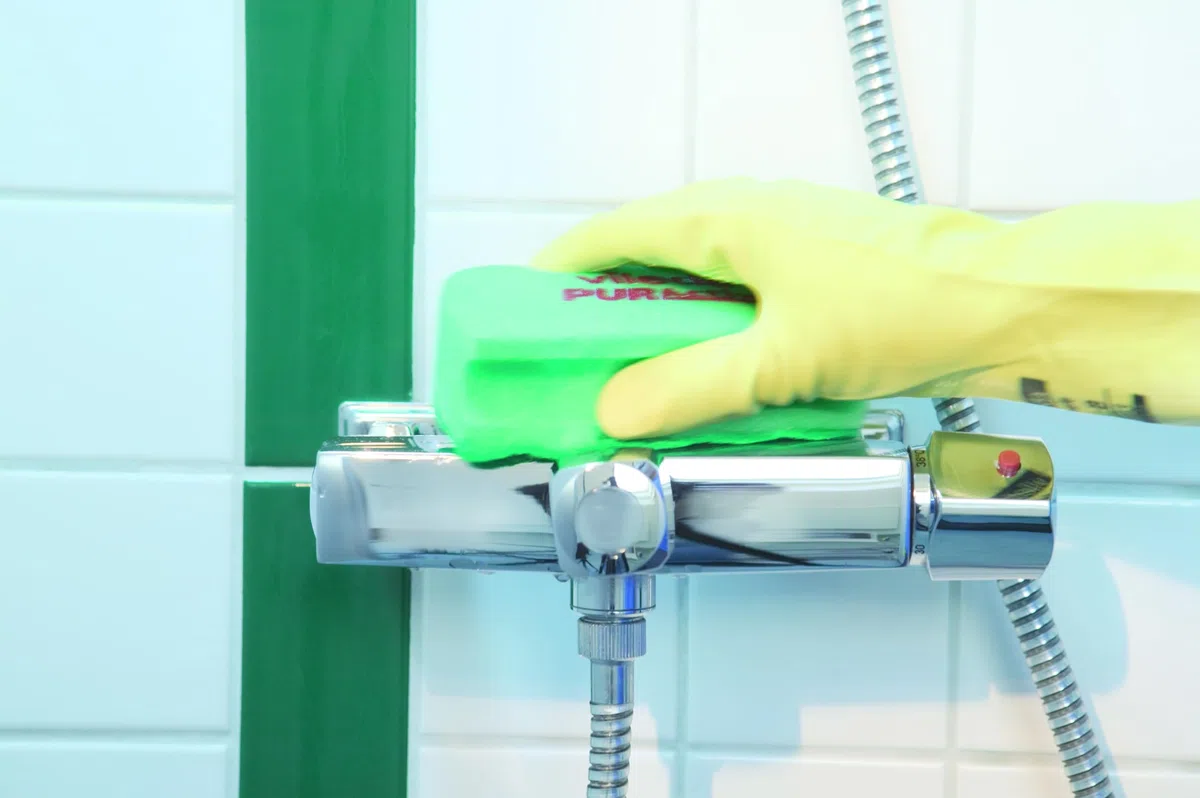 Vileda Professional PurActive Salvauñas – Estropajo verde sin arañazos, pack de 10 unidades, Superficies delicadas, inox, Vidrio, Cerámica, Teflón, Tecnología de limpieza activa, Codificación HACCP