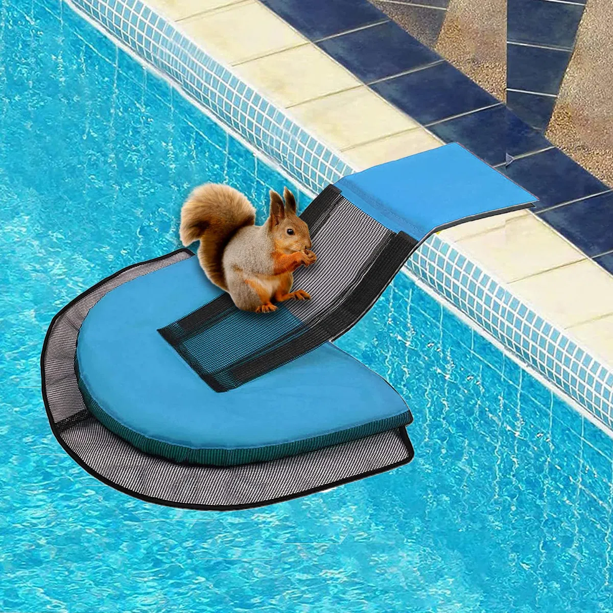 Salva Animales Piscina, rampa De Escape para Alberca, para Mascotas Pequeñas, Red De Seguridad Portátil
