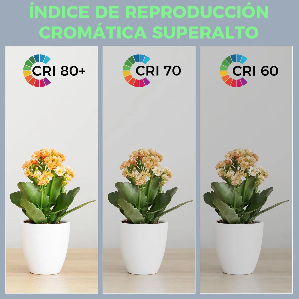 26W G24d-3 Bombillas PLC Tubo, 2 Pines Luz blanca 6500K CFL Lámpara, 1600LM, Fluorescentes de Bajo Consumo, No Regulable, Pack de 5