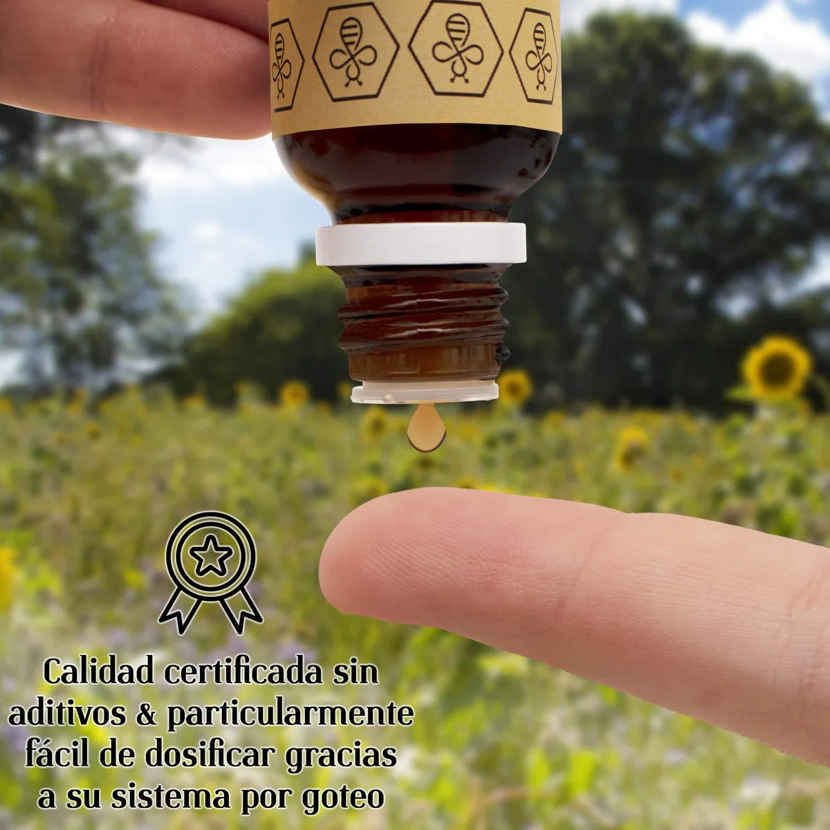 20ml NORDBIENCHEN Tintura de propóleo con 30% propóleo procedente directamente del apicultor