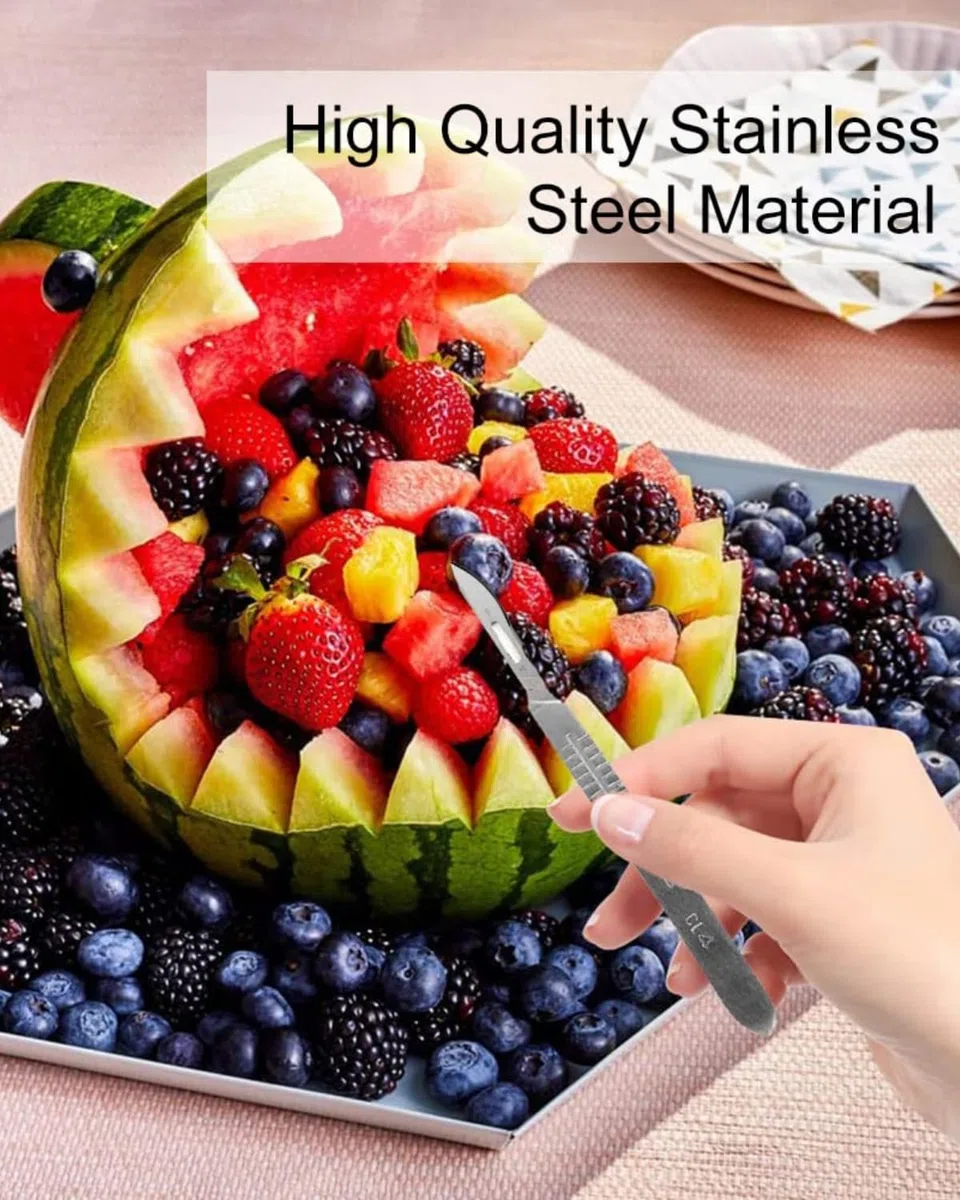 Hojas De Bisturi,Bisturi Podologo Profesional,Bisturi Desechable,10pcs Cuchillas De Bisturí,Hojas De Repuesto para Bisturí Hechas De Acero Al Carbono + 1Pcs Soporte para Bisturí