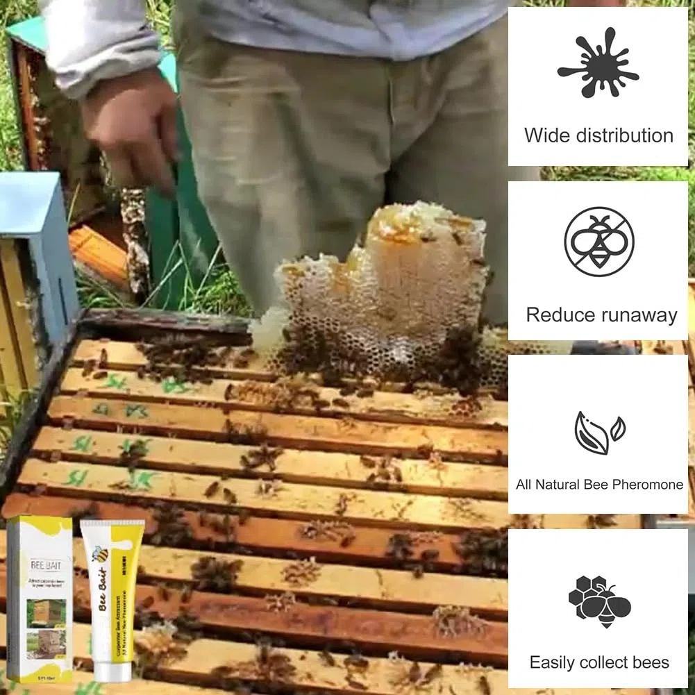 Gel Atrayente de Abejas para Apicultura, Capturador de Abejas Silvestres de Exterior, Capturador Líquido de Enjambres de Colmenas, Atrayente de Abejas, Trampas para Abejas, para Granja, 60ml