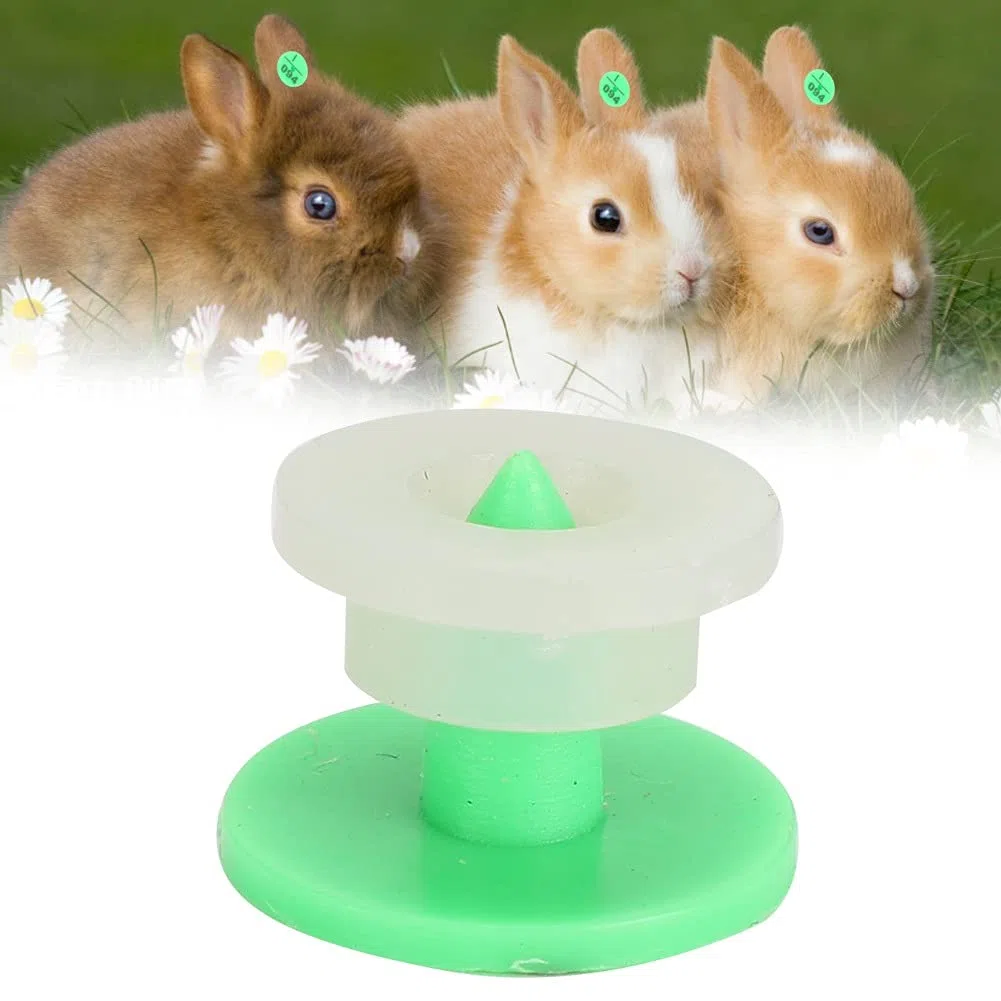 Qinlorgo Etiqueta de oído, Tarjeta de identificación del Animal doméstico Muestras plásticas del oído del Animal doméstico, número Seguro 100pcs del Marcador de la Etiqueta del oído de(Green)