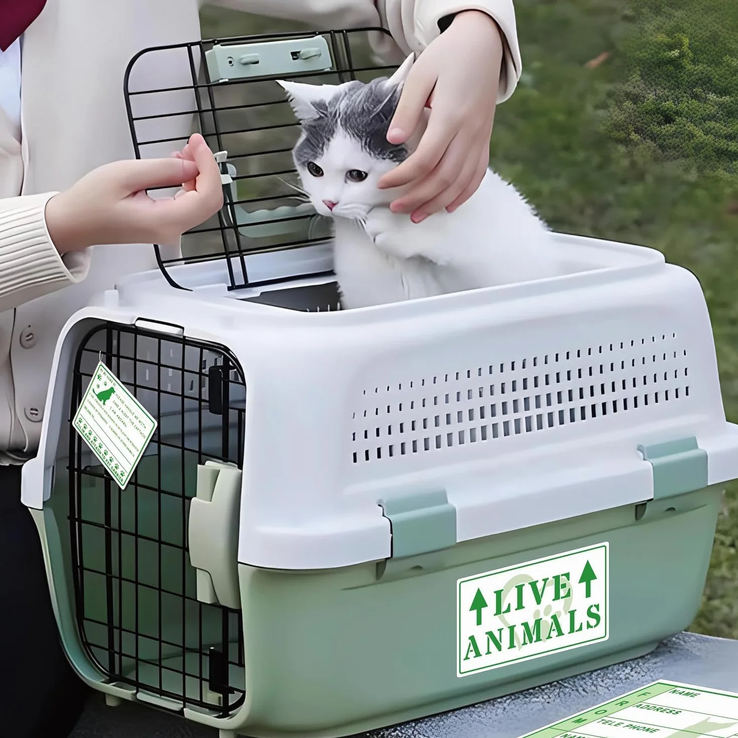 20 pegatinas de animales en vivo con flecha para envío y manejo de la caja de carga de aire y etiquetas de animales en vivo
