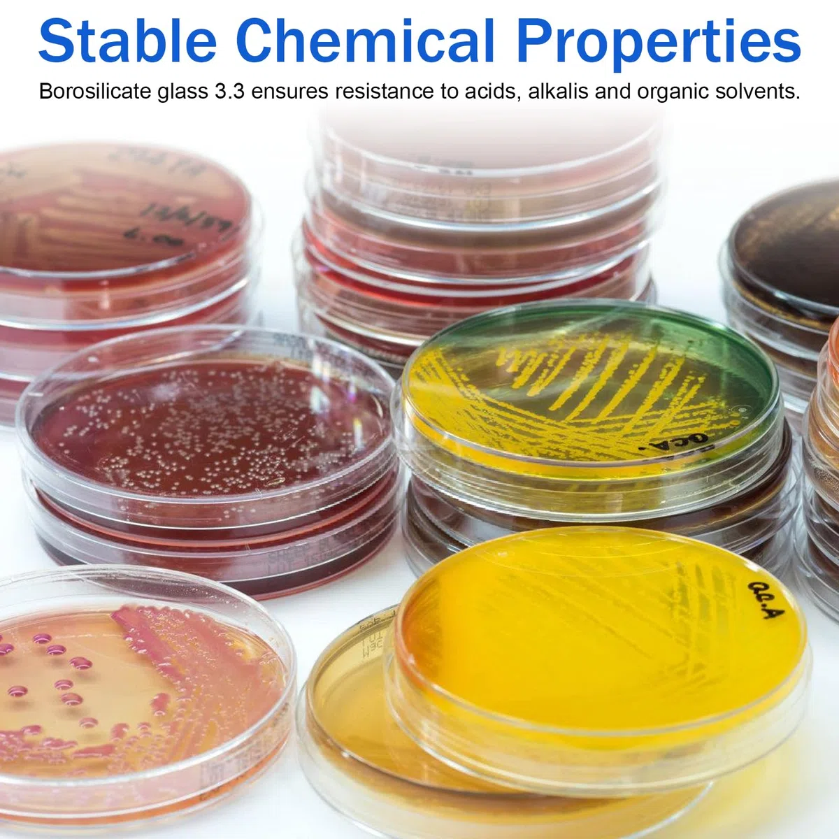 Placas de Petri de vidrio con tapa: 10 placas de Petri estéril transparentes, 90 x 20 mm, placa de cultivo celular Petri de vidrio de borosilicato, autoclavables, placas de Petri para