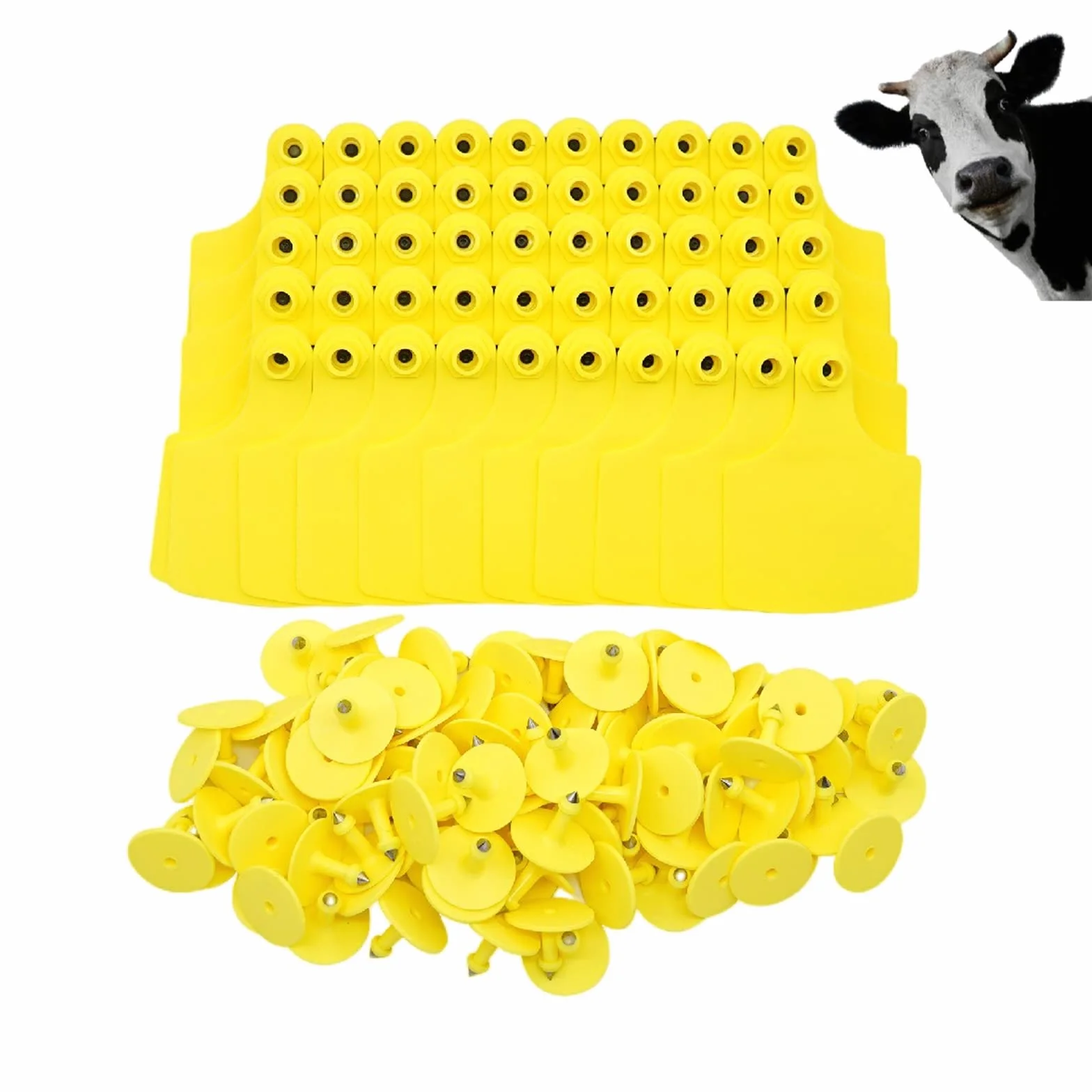 100 etiquetas de TPU para orejas de ganado – 4.1 pulgadas de largo x 3 pulgadas de ancho, tarjetas de identificación de ganado grande en blanco para vaca, ganado, cabra, oveja, perro, cerdo,