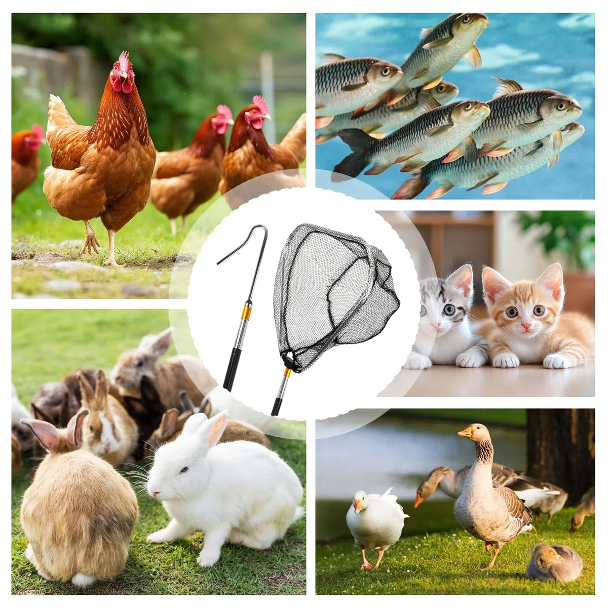 Redes de pollo para aves de corral escalables