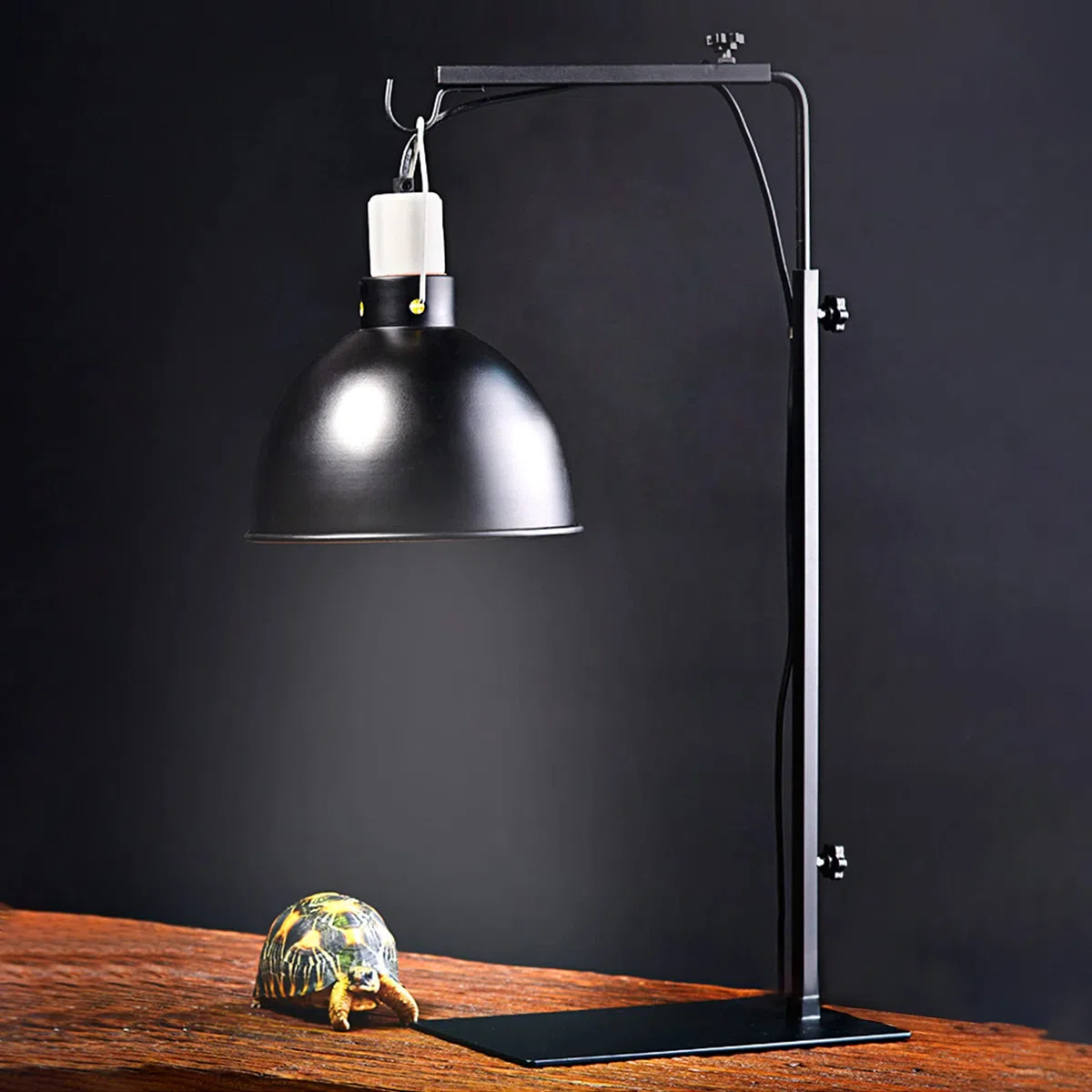 Soporte de Lámpara de Reptil, Soporte para Mascotas Soporte de Luz Reptiles de Altura Ajustable, Adecuado para Reptiles, Tortugas, Dragones Barbudos, Ciempiés Vidrio de Araña Contenedores